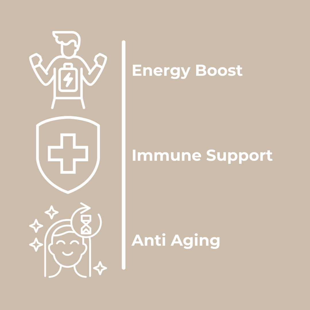 Longevity Multivitamine: Complete dagelijkse vitaminen voor energie, immuunondersteuning en algehele gezondheid